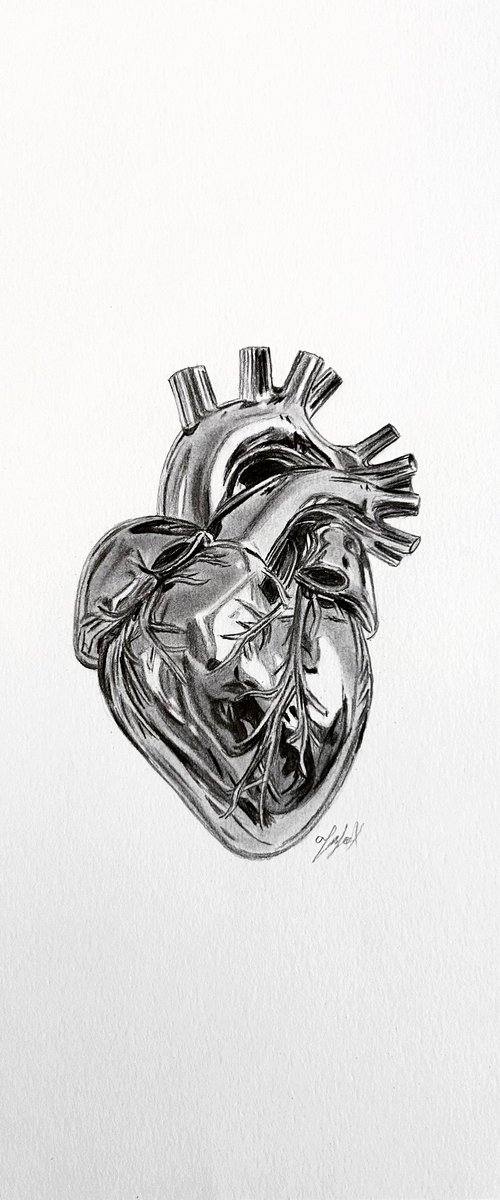“Chromatic Heart” by Amelia Taylor