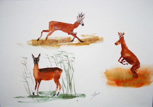 Roe Deer 03 / Original Painting by Salana Art Gallery