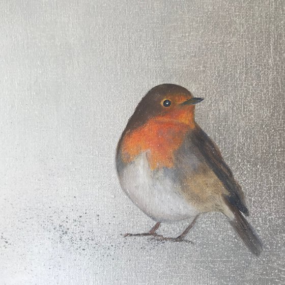 Robin ~ on silver