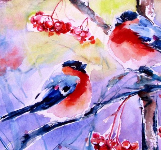 Bullfinches