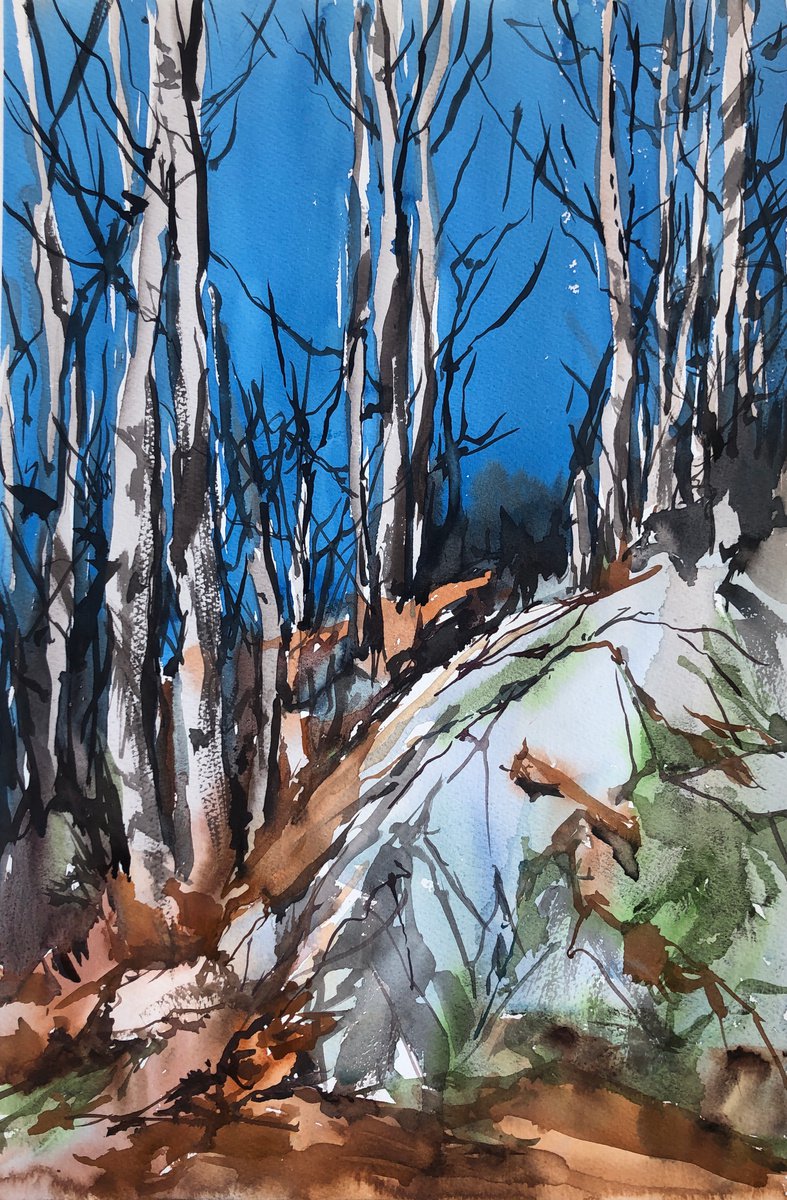 Autumn forrest by OLGA BELOBORODOVA