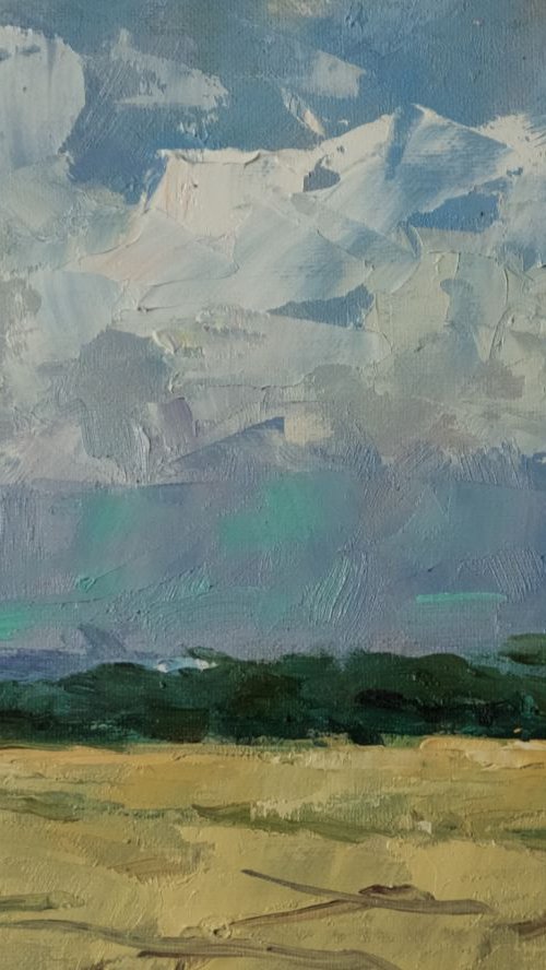 Skyscape at Climping by Andre Pallat