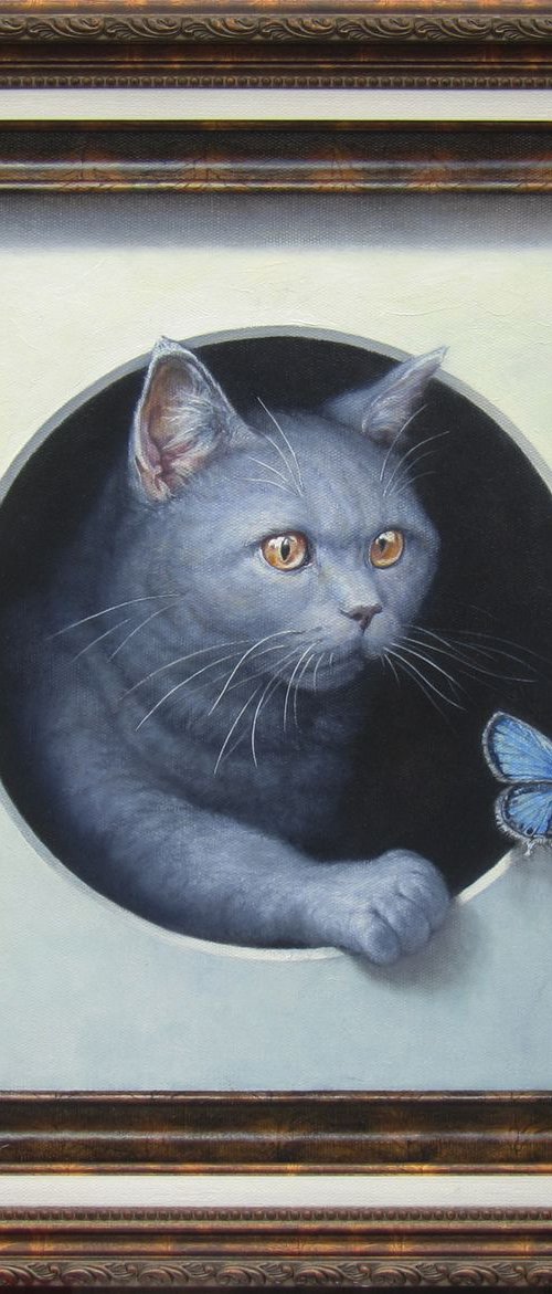 Trompe l'oeil with cat and butterfly by Yuriy Matrosov