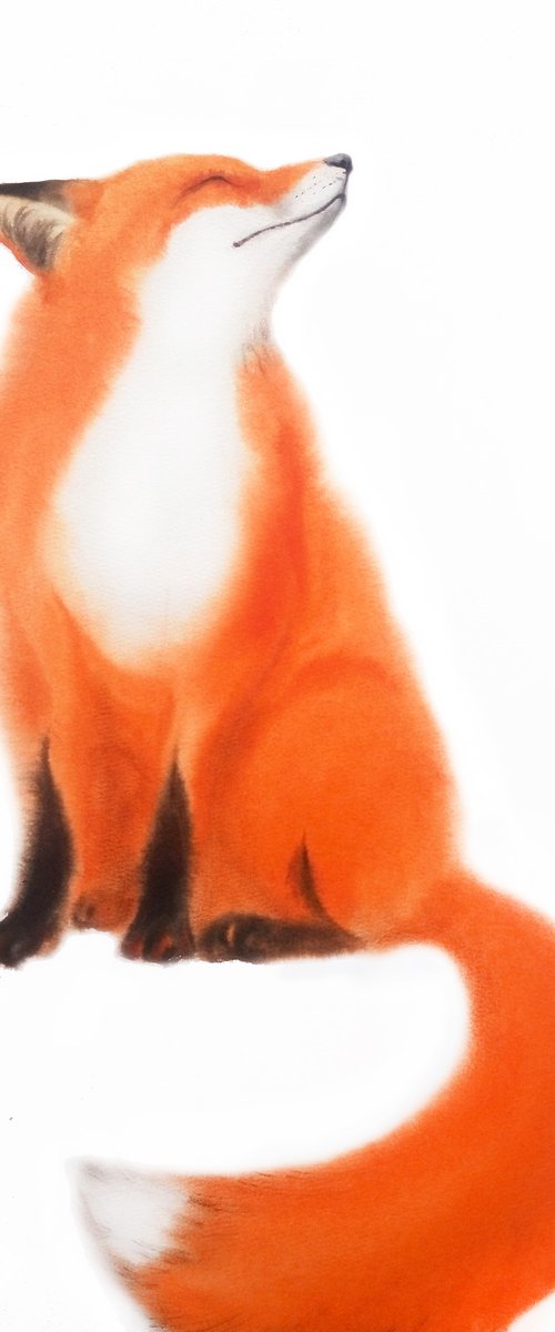 Red Fox - foxy - fox portrait by Olga Beliaeva Watercolour