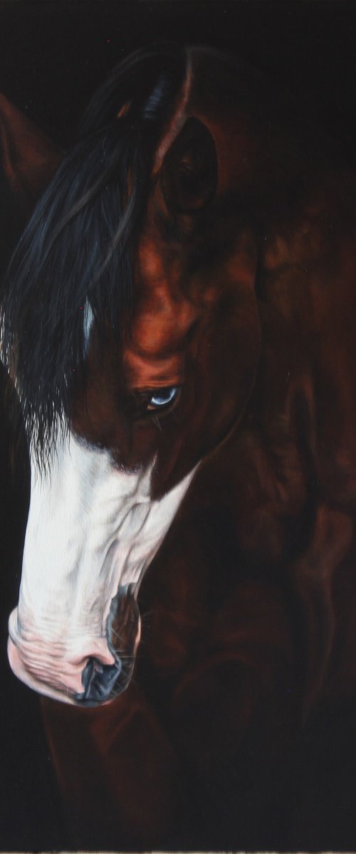 White lantern by Marie Madej