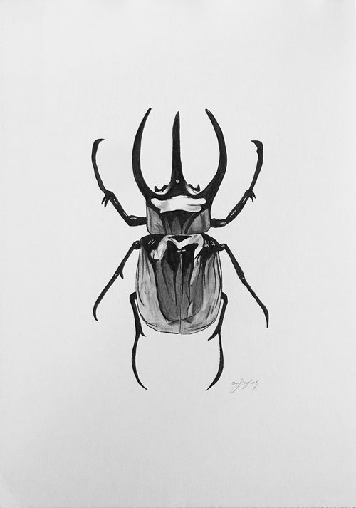 Black Beetle by Amelia Taylor