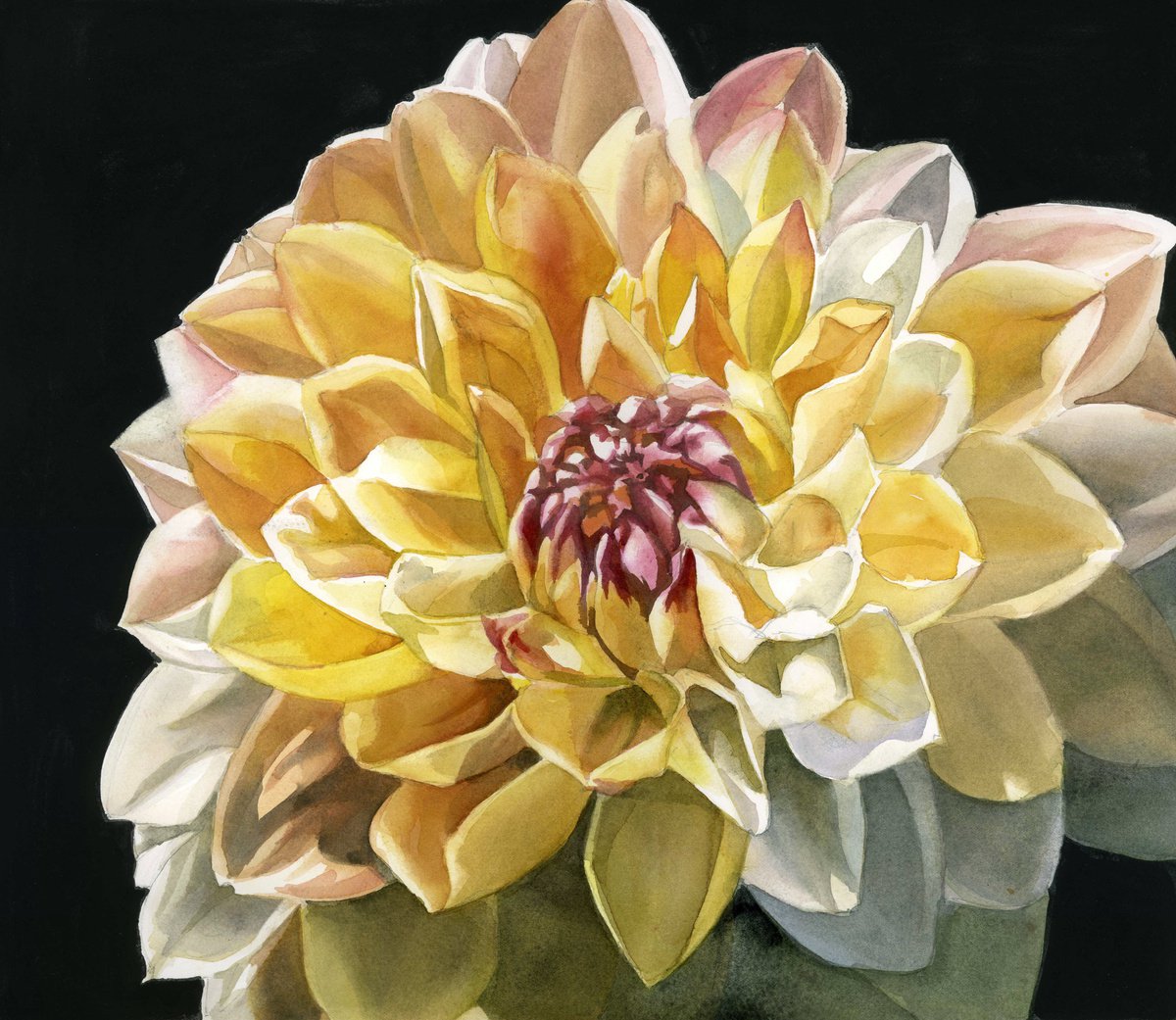 glorious dahlia, floal watercolor by Alfred Ng