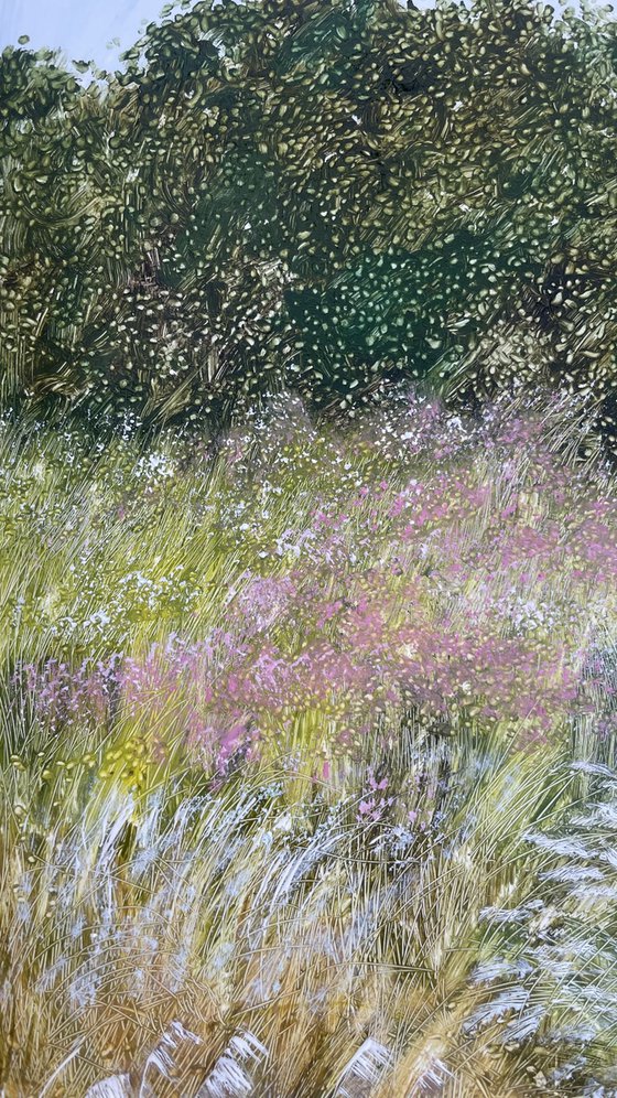 Ornamental grasses in the garden