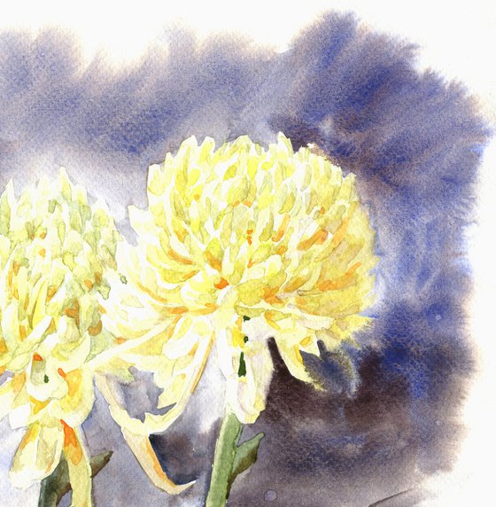 Ukrainian watercolour. Autumn. Chrysanthemums