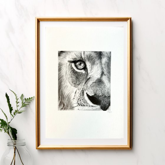 The lion king