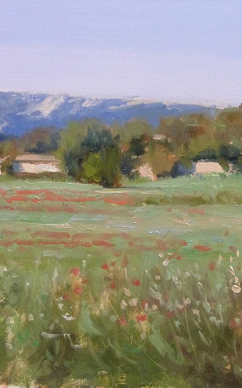 Fields near Aix en Provence by Pascal Giroud