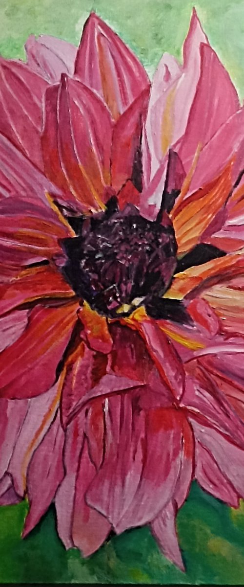 Flower dalhia by Isabelle Lucas