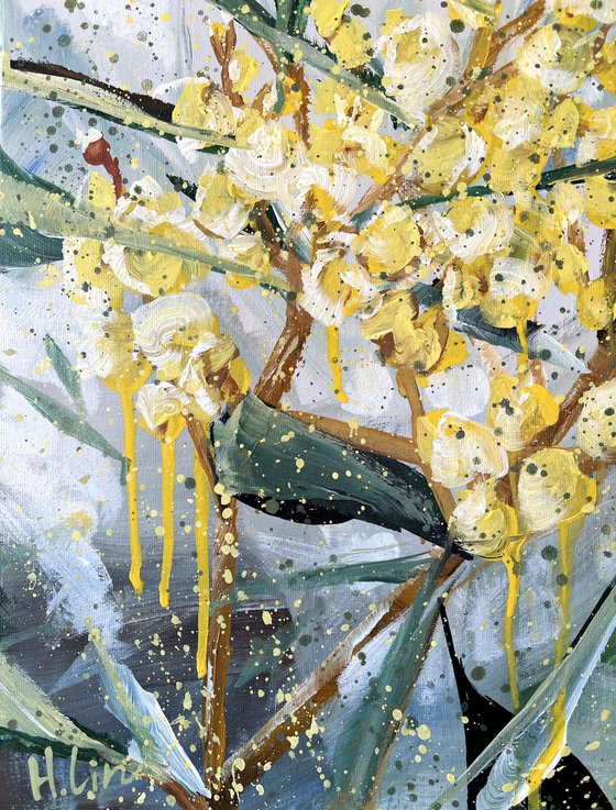 Sparkle and Shine - Golden Wattle By HSIN LIN