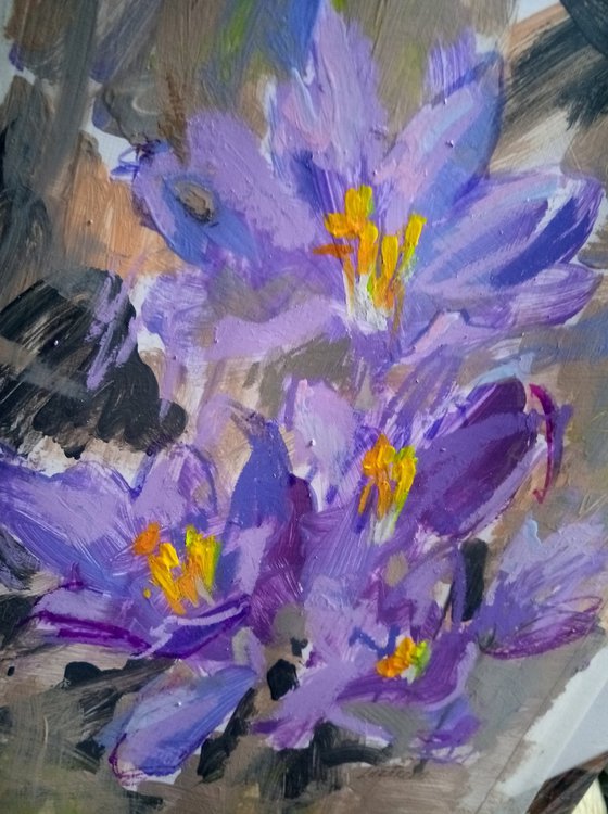 Crocuses #1