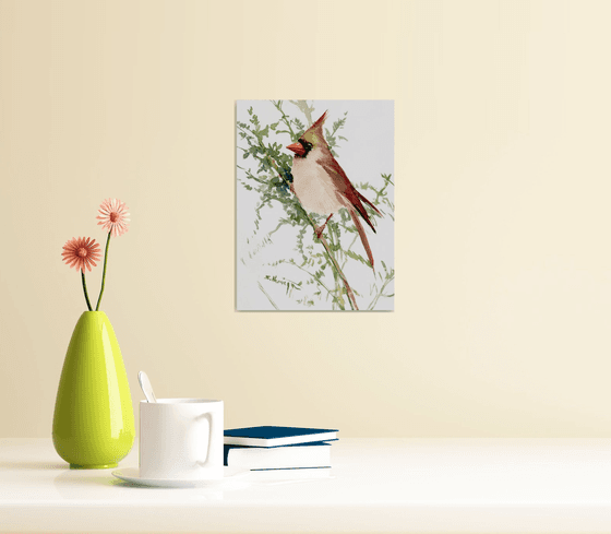 Female Cardinal