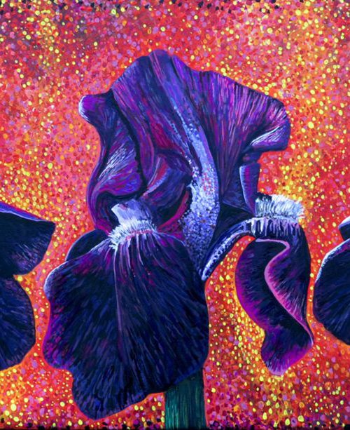 Purple Irises by Roz Edwards