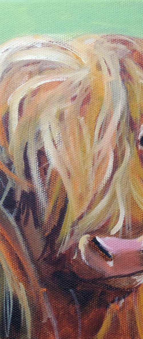 Highland cow art oil painting on canvas by Gordon Bruce