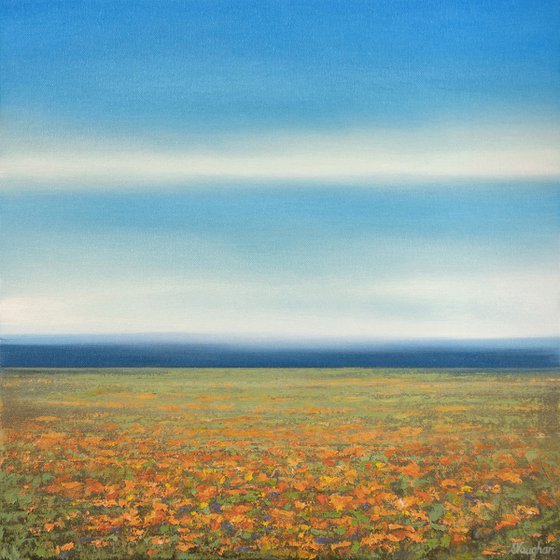 Orange Poppies - Blue Sky Landscape