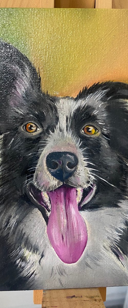 Collie dog oil painting by Bethany Taylor