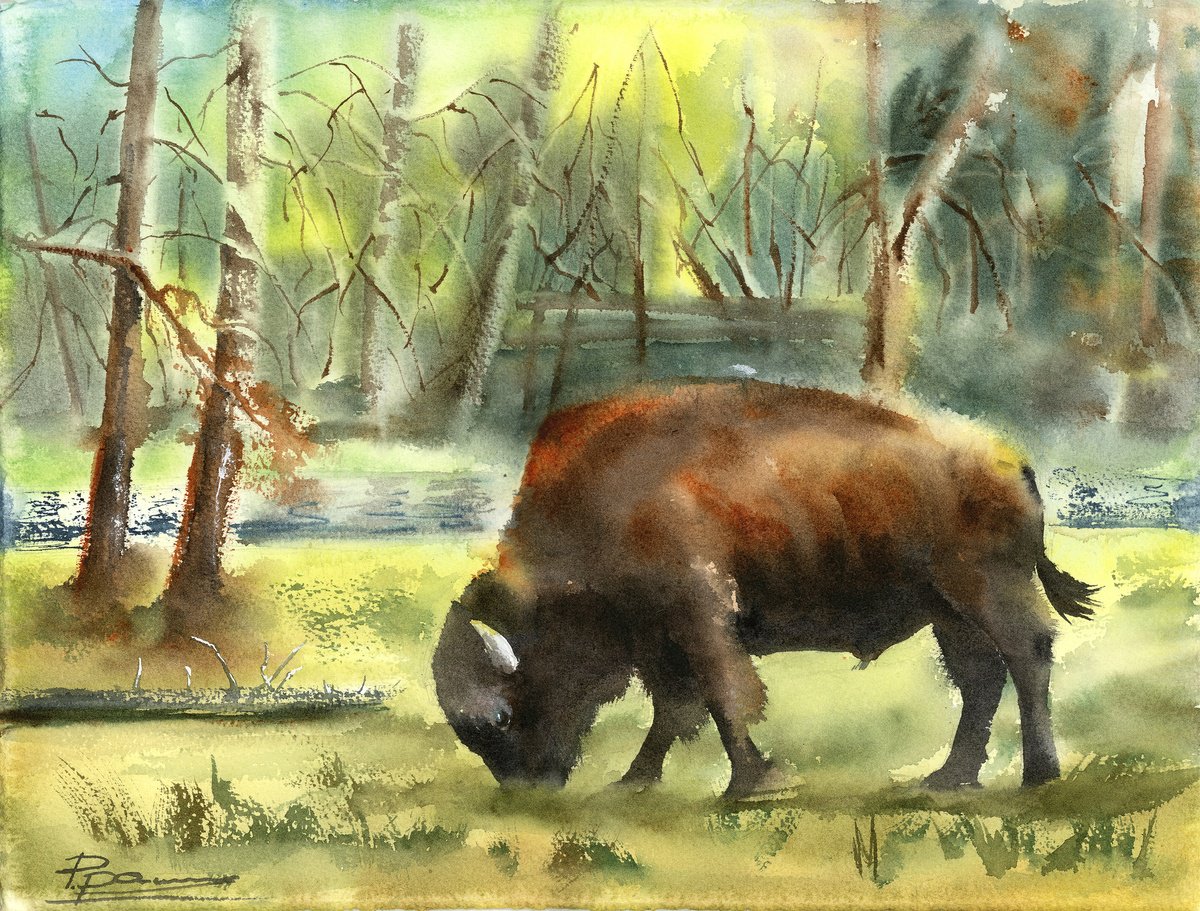 Impressionistic Animal Watercolour By Olga Tchefranov (Shefranov), 15 X 11", Bison In The Forest, Original Artwork