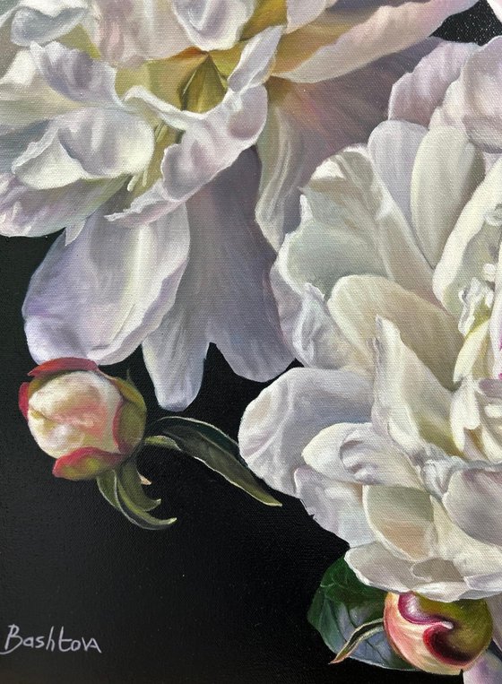 A Midnight Garden
