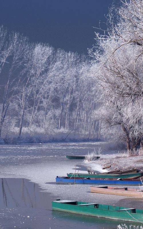 Winter harmony by Sonja  Čvorović