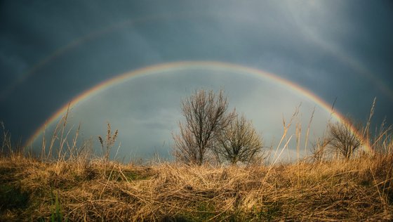 Catch the rainbow