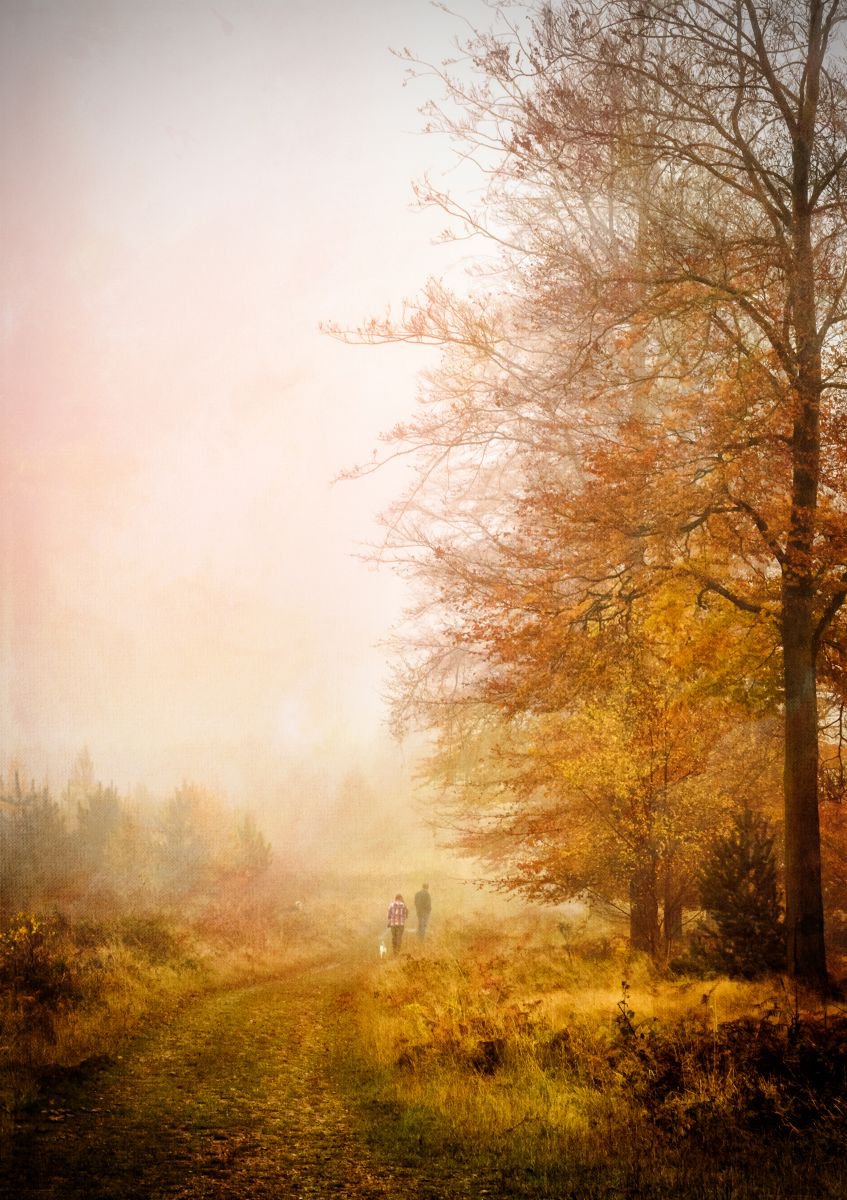 Misty Memories by Michelle Williams Photography