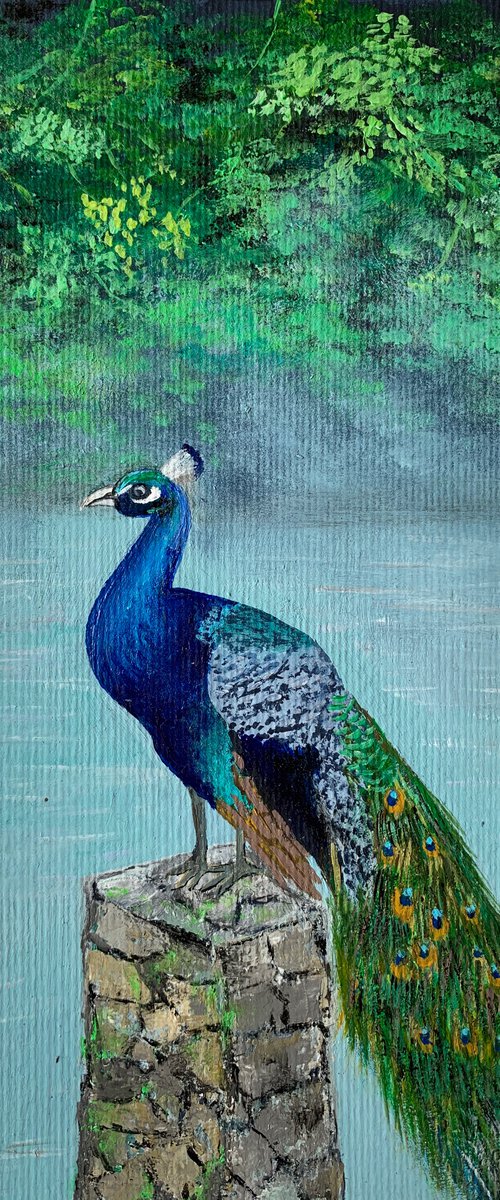 Peacock! A4 size Painting on paper by Amita Dand