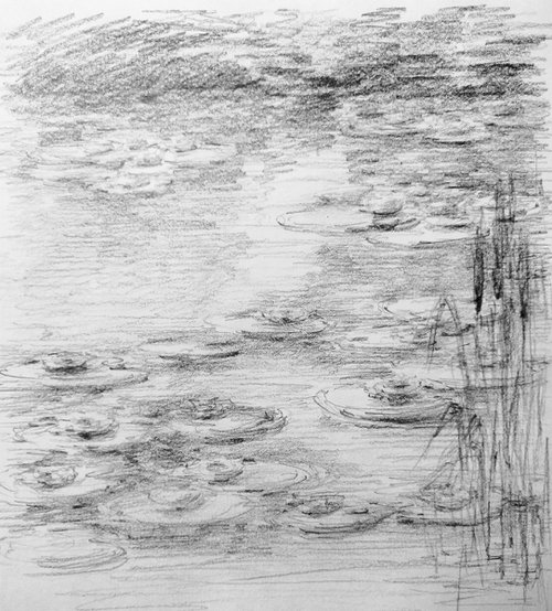 Water lilies. Sketch #2. Original pencil drawing. by Yury Klyan