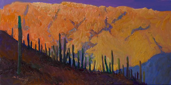 Saguaros in Desert, Evening