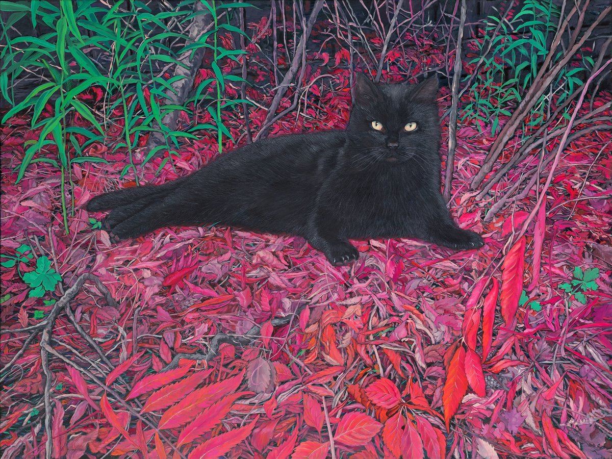 Black cat on a carpet of red leaves by Natalie Levkovska