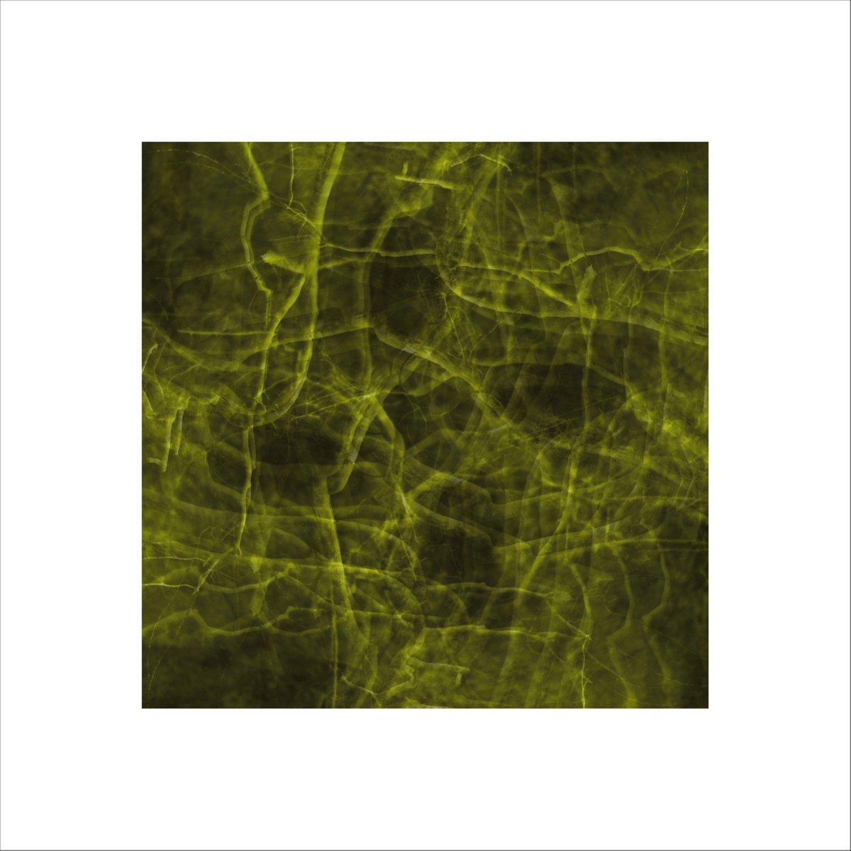 Organic Abstract Photograph By Paul Harrison, 30 X 30", Signs #14, Original Artwork