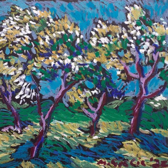 Olive grove in blue