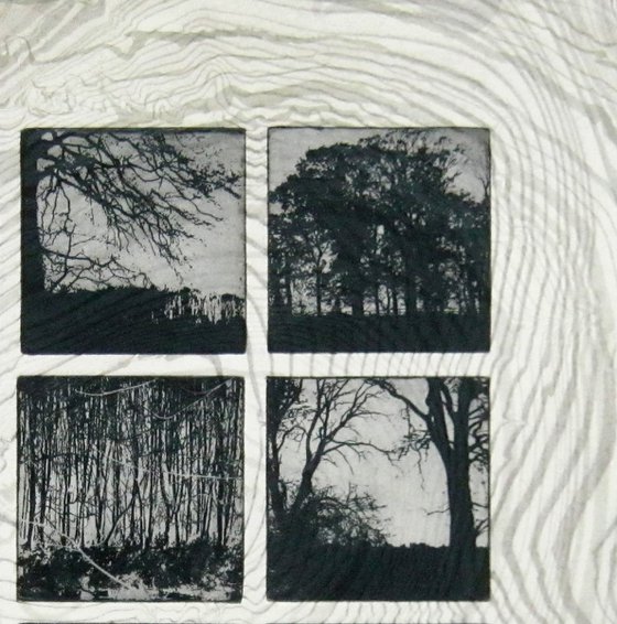 The Beautiful Trees No.1