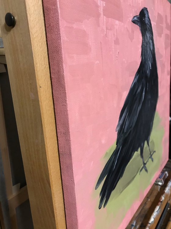 Crow on pink Animals collection