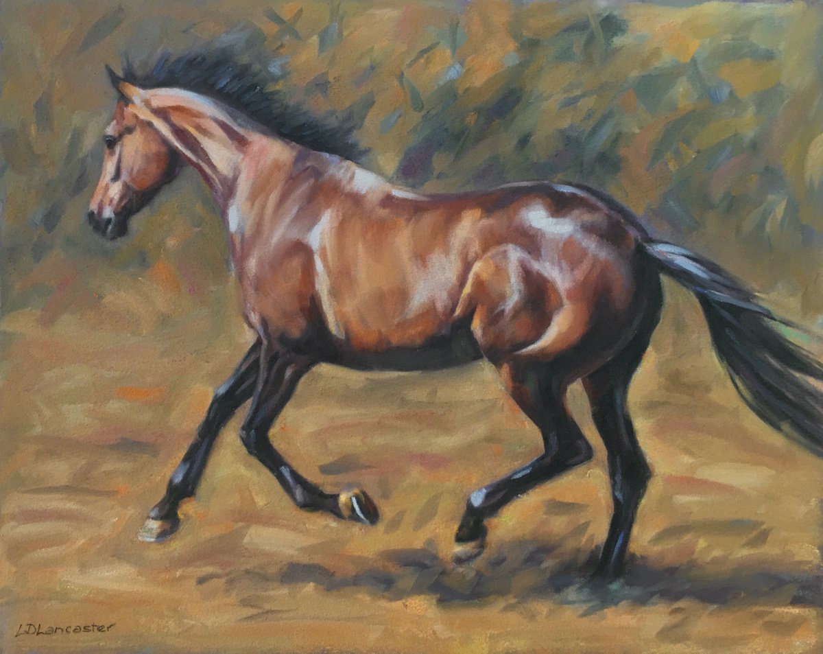 Bay Horse Cantering by Lorna Lancaster ASEA