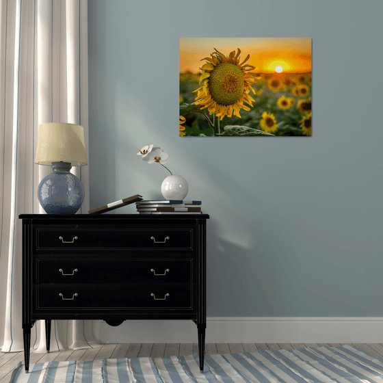 Golden Silence III – Last Light