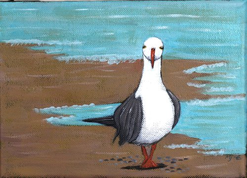 Seagull by Mariann Johansen-Ellis