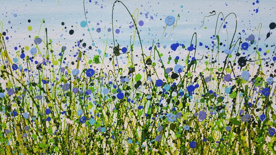 Wild Bluebells