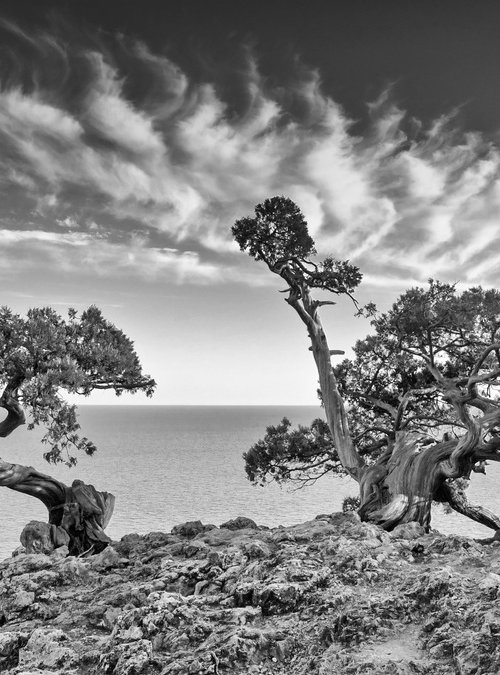 Guardians of the Cliff by Vlad Durniev