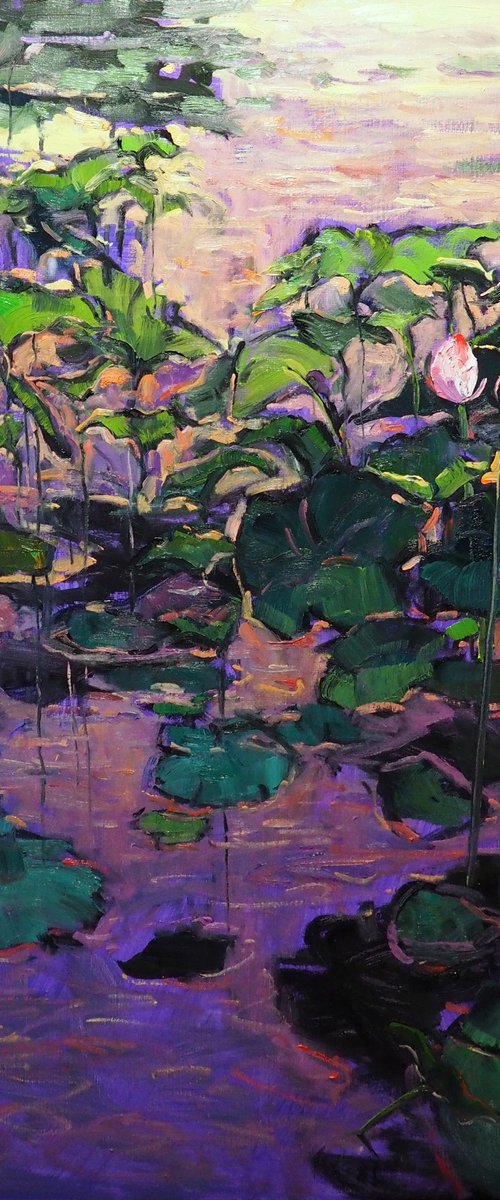 Lotus Leaves by Yuanyuan Liu
