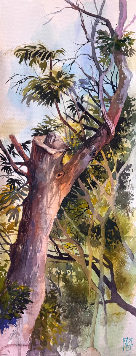 Impressionistic Landscape Watercolour By Maria Kireev, 11 X 28", Light Between Branches, Original Artwork
