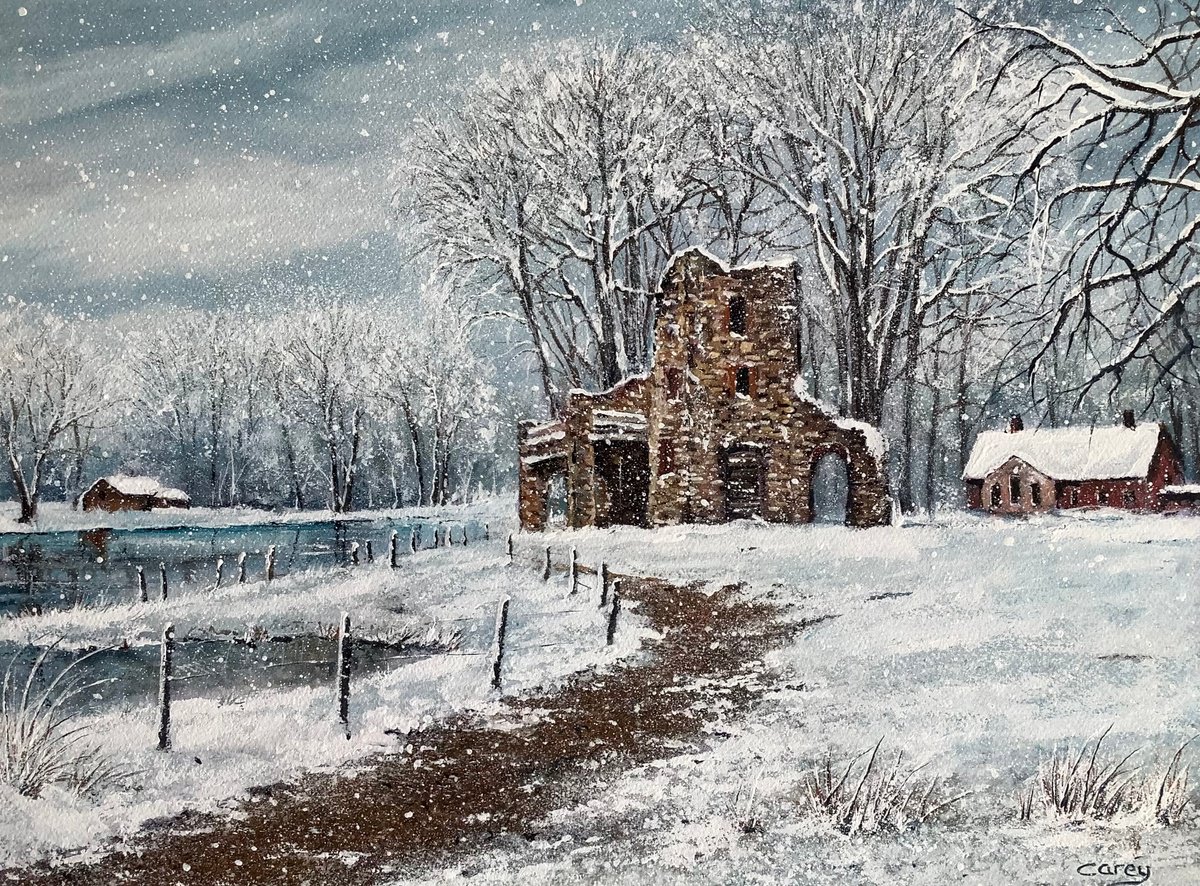 Winters snow by Darren Carey
