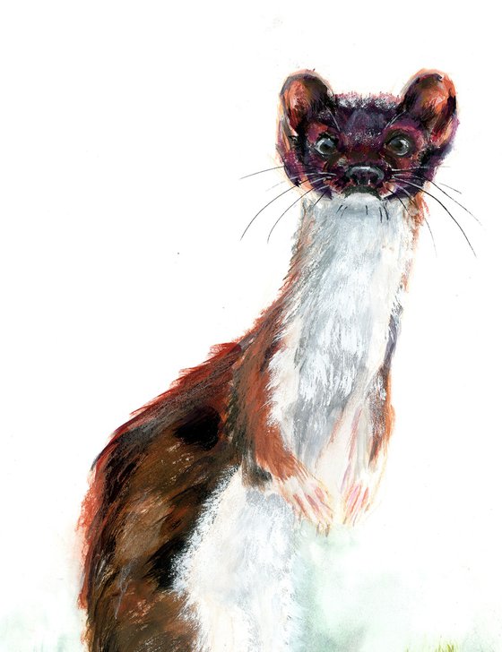 Weasel Painting