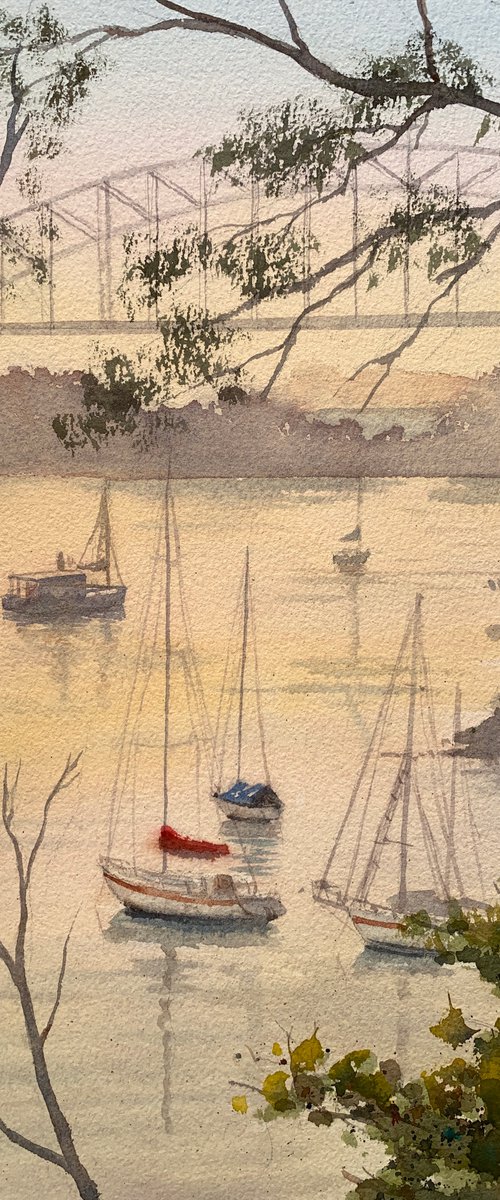 Sydney Harbour Morning by Shelly Du