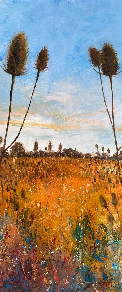 Teasel Field by Teresa Tanner