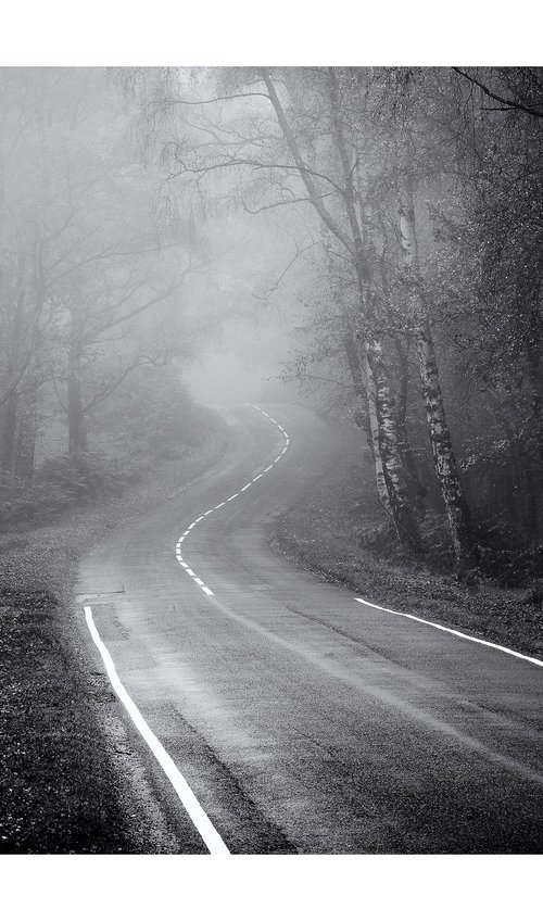 New Forest Lines by David Baker