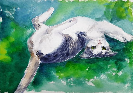 Playful cat rolling on the green couch