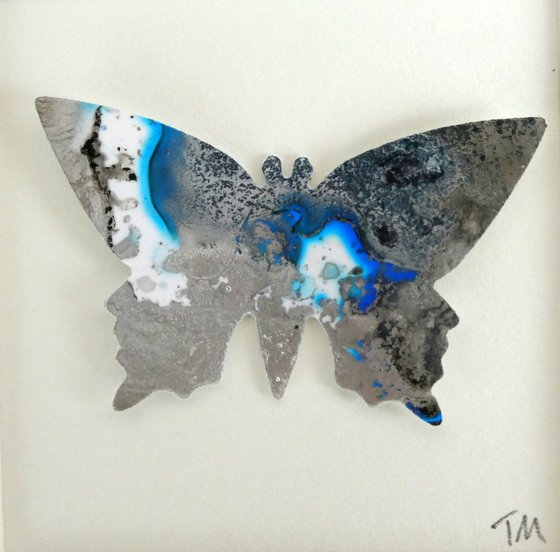 One Silver and Blue Butterfly